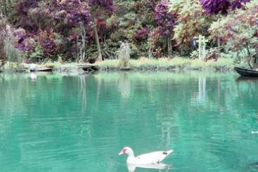 Visit Tuan Chau Island to have unforgettable experiences