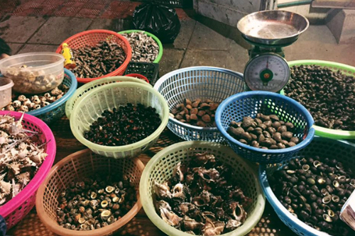 Ốc xào Ốc xào